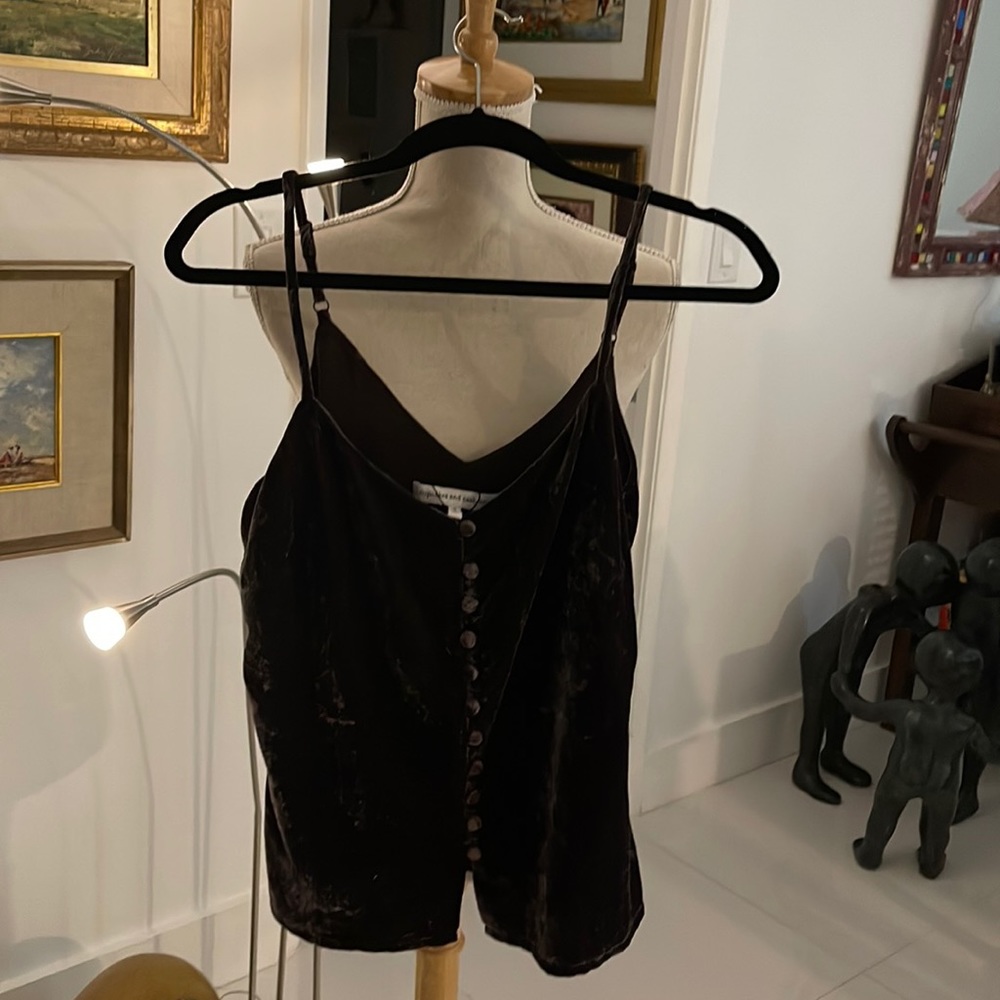 cupcakes & cashmere Brown "Velvet" Button Down Camisole Top